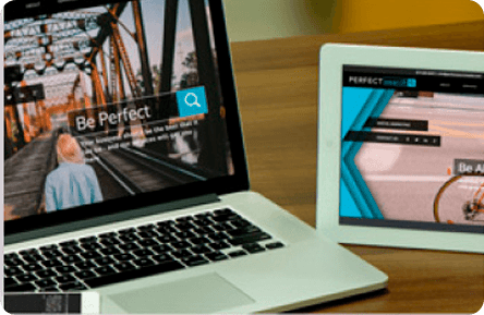 Perfect Search Media